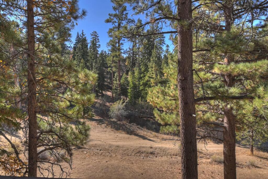 Everwood Serenity Treehouse Ontrail Head/Sledding Villa Big Bear Lake Ngoại thất bức ảnh